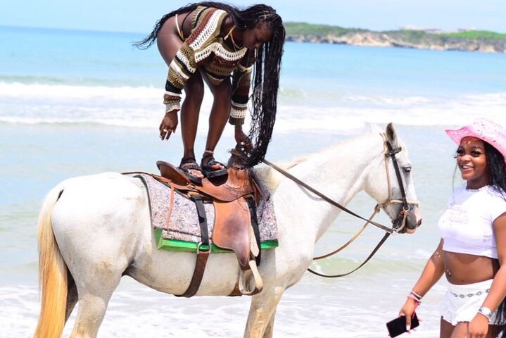 Enjoy an amazing horseback riding adventure along the beautiful beaches of Punta Cana.